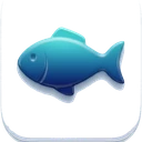 Свежая рыба Сахалина — лосось, нерка, кета