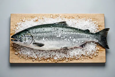 Чавыча (королевский лосось) (охлаждённая)