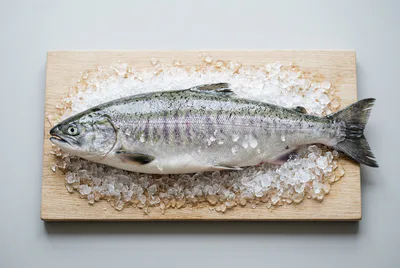 Кета (охлаждённая)