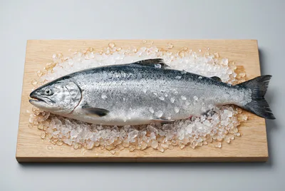 Кижуч (серебряный) (охлаждённая)