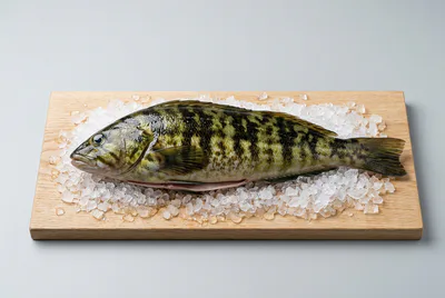 Морской окунь тихоокеанский (замороженная)